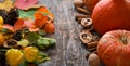 Autumn vegetables, fallen leaves, nuts and pumpkins on a wooden background, Thanksgiving concept, copy space Royalty Free Stock Photo