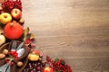 Autumn vegetables, fruits and cutlery on background, flat lay with space for text. Happy Thanksgiving day Royalty Free Stock Photo