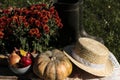 Autumn vegetables in the garden