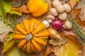 Autumn vegetables on leaves Royalty Free Stock Photo