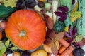 Autumn vegetables and leaves, top view Royalty Free Stock Photo