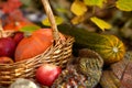 Autumn vegetables in straw basket Royalty Free Stock Photo