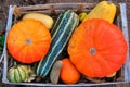 Autumn vegetables in a wooden box