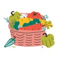 Autumn vegetales placed in wicker basket for farming fair or picnic. Organic natural wholesome food. Harvest vegetable food,