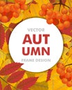 Autumn vertical background with branch of rowan, berries and lea