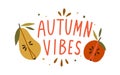 Autumn vibes hand drawn lettering composition with design elements vector flat illustration. Cozy fall quote with half