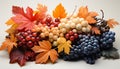 Autumn vibrant colors leaf, grape, pumpkin, rowanberry, apple, gourd generated by AI