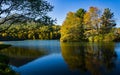 An Autumn View of Abbott Lake Royalty Free Stock Photo