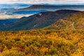 Autumn view of the Appalachians from Loft Mountain, Shenandoah N