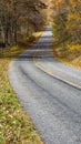 An Autumn View of the Blue Ridge Parkway Roadway