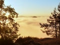 Autumn view through branches to misty valley within daybreak. Foggy and misty morning on the sandstone view point in national park Royalty Free Stock Photo