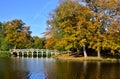 Autumn View of the Chinese Bridge in Painshill Park Royalty Free Stock Photo