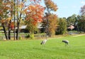 Autumn view in a city park. Royalty Free Stock Photo