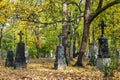 Autumn view of famous Old North Cemetery of Munich, Germany with historic gravestones