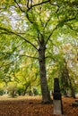 Autumn view of famous Old North Cemetery of Munich, Germany with historic gravestones