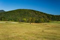 Autumn View of Field and the Blue Ridge Mountains Royalty Free Stock Photo