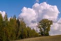 Picturesque Cumulus clouds over a vast field bordered by copses in autumn attire, toned.