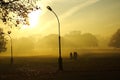 Autumn view-foggy park alley with bare trees and fallen leaves. Royalty Free Stock Photo