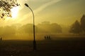 Autumn view foggy park alley with bare trees and fallen leaves. Royalty Free Stock Photo