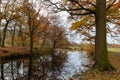 Autumn view in the forest of Pietersheim in Lanaken part of the National park Connecterra Royalty Free Stock Photo