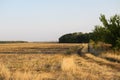 Autumn view. Harvested field.