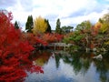 Autumn view of Hojo pond Royalty Free Stock Photo