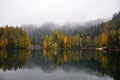 Autumn view of lake