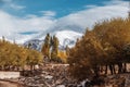 Autumn View of landscape in Leh Ladakh District ,Norther part of India