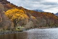 Autumn view, Loch Lomond, Scotland UK