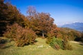 Autumn view of Monte Cucco park in Umbria, Italy Royalty Free Stock Photo
