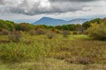 Autumn View of Old Rag Mountain Royalty Free Stock Photo