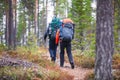 Autumn view of Oulanka National Park, landscape, a finnish national park in the Northern Ostrobothnia and Lapland regions of Royalty Free Stock Photo