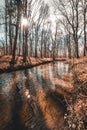 Autumn view over a little river with forest around in lower austria during sunrise Royalty Free Stock Photo
