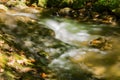 Autumn View of a Peaceful Mountain Trout Stream Royalty Free Stock Photo