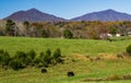A Scenic view of the Peaks of Otter, Bedford County, Virginia, USA Royalty Free Stock Photo