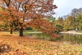 Autumn view of the pond in Saxon Garden in Warsaw Royalty Free Stock Photo