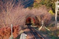 Autumn view of railroad tracks at Sagano Scenic Railway. Royalty Free Stock Photo