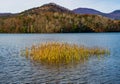 An Autumn View of Reeds and Carvins Cove Reservoir, Roanoke, Virginia, USA Royalty Free Stock Photo