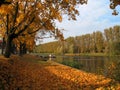 Autumn view at the river