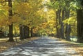 Autumn view of Robbins Manor road in Annandale, NY Royalty Free Stock Photo