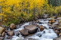 Autumn Creek at Guanella Pass Scenic Byway Royalty Free Stock Photo