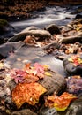 Autumn view from Smoky Mountain National Park Royalty Free Stock Photo