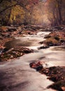 Autumn view from Smoky Mountain National Park Royalty Free Stock Photo