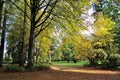 Autumn view of Stanley Park