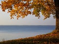 Autumn view to lake Rekyva