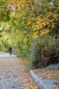 Autumn view of trail on the riverside Royalty Free Stock Photo