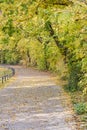 Autumn view of trail on the riverside Royalty Free Stock Photo