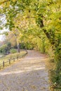 Autumn view of trail on the riverside Royalty Free Stock Photo