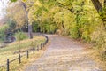 Autumn view of trail on the riverside Royalty Free Stock Photo