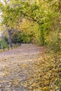 Autumn view of trail on the riverside Royalty Free Stock Photo